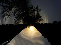 البصرة في القرن العشرين