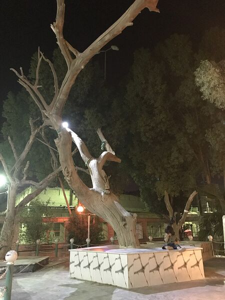 ملف:Adam's tree.jpg